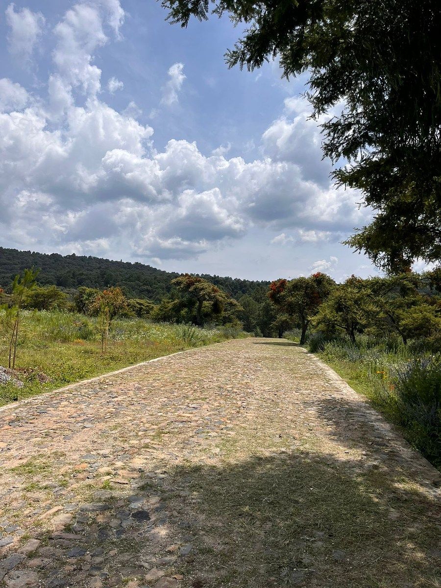 Lote em Atemajac de Brizuela, Atemajac de Brizuela, foto 5 de 7
