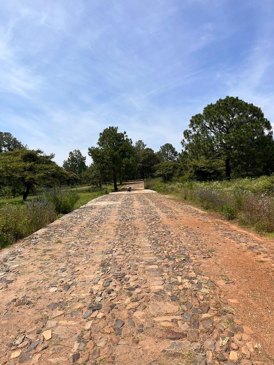 Lote em Atemajac de Brizuela, Atemajac de Brizuela, foto 6 de 7