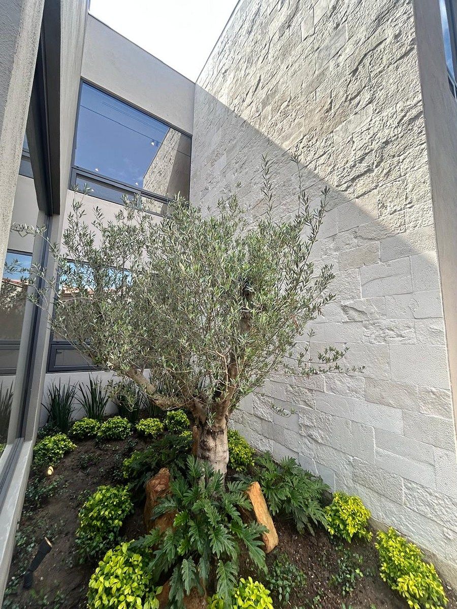 Casa en Del Valle, San Pedro Garza García, foto 9 de 11
