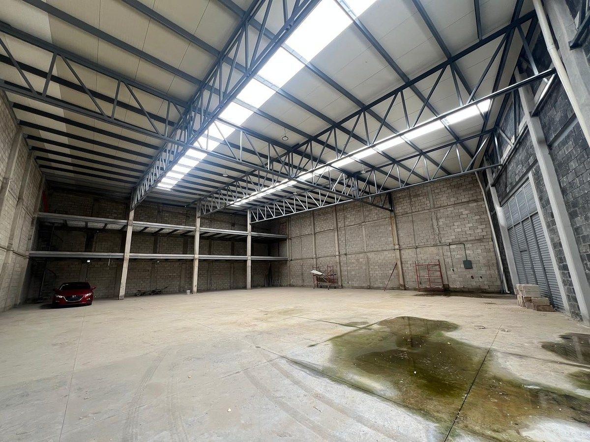Bodega industrial en Las Pintas, El Salto, foto 8 de 9