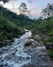 Lote em Tapalpa, Tapalpa, foto 3 de 36