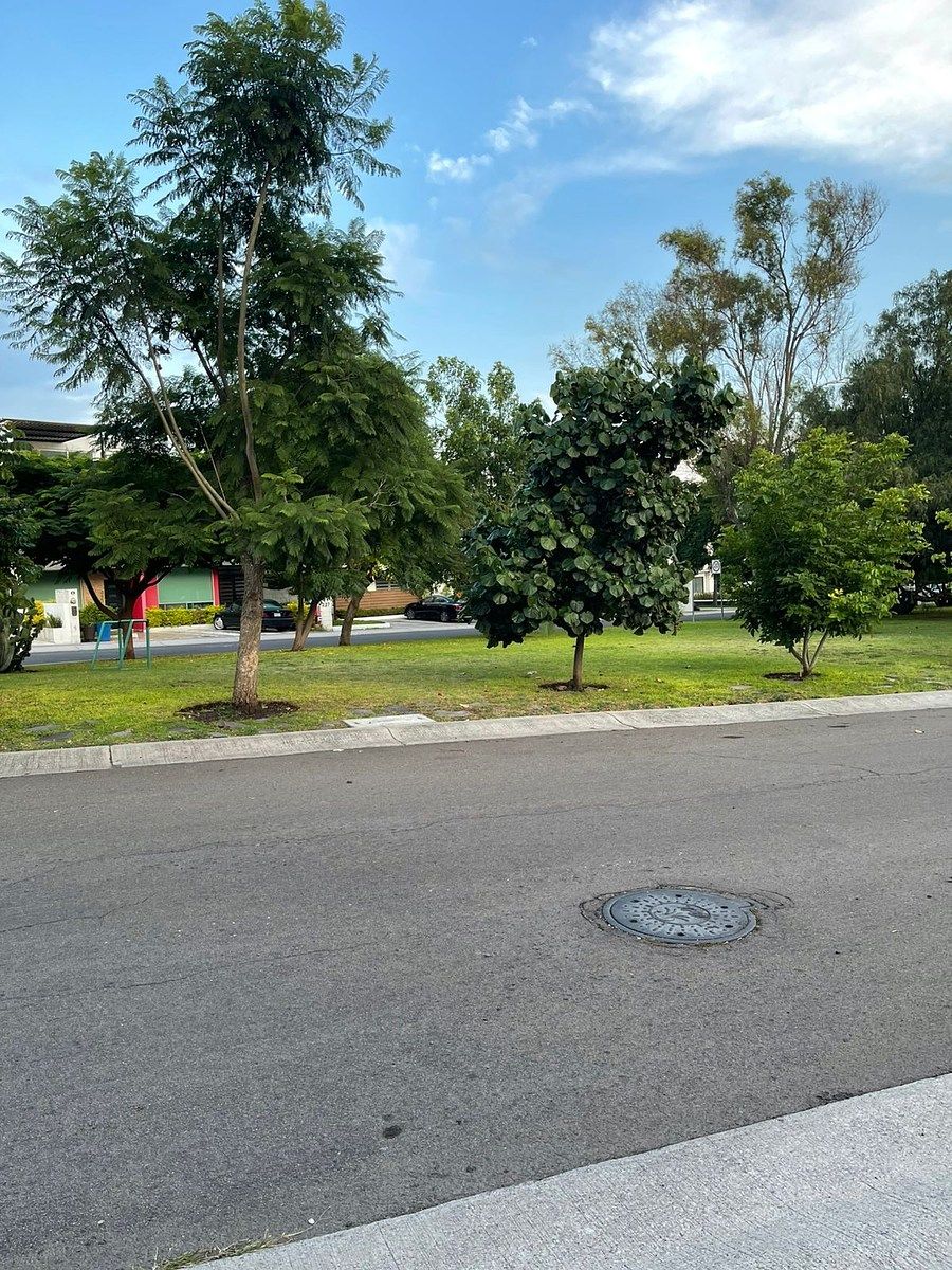 Casa en Residencial el Refugio, Querétaro, foto 43 de 45