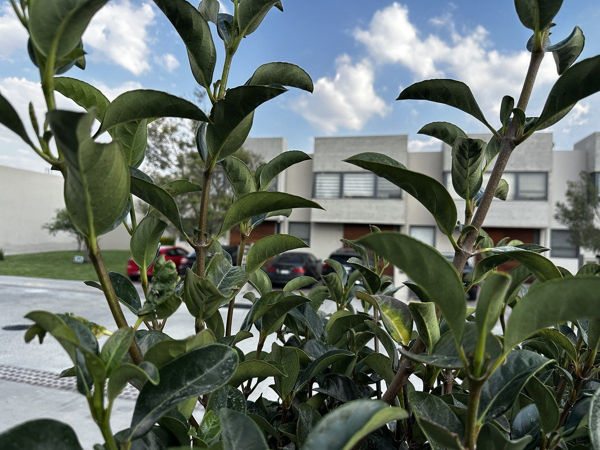 Casa em condomínio fechado em Zákia, El Marqués, foto 2 de 33