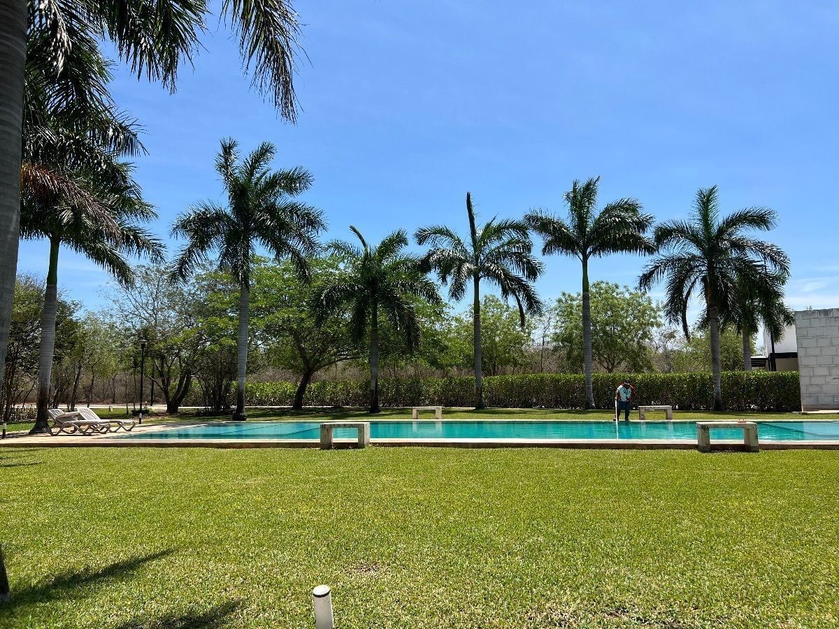 Lot in Dzidzilché, Mérida, photo 2 of 18