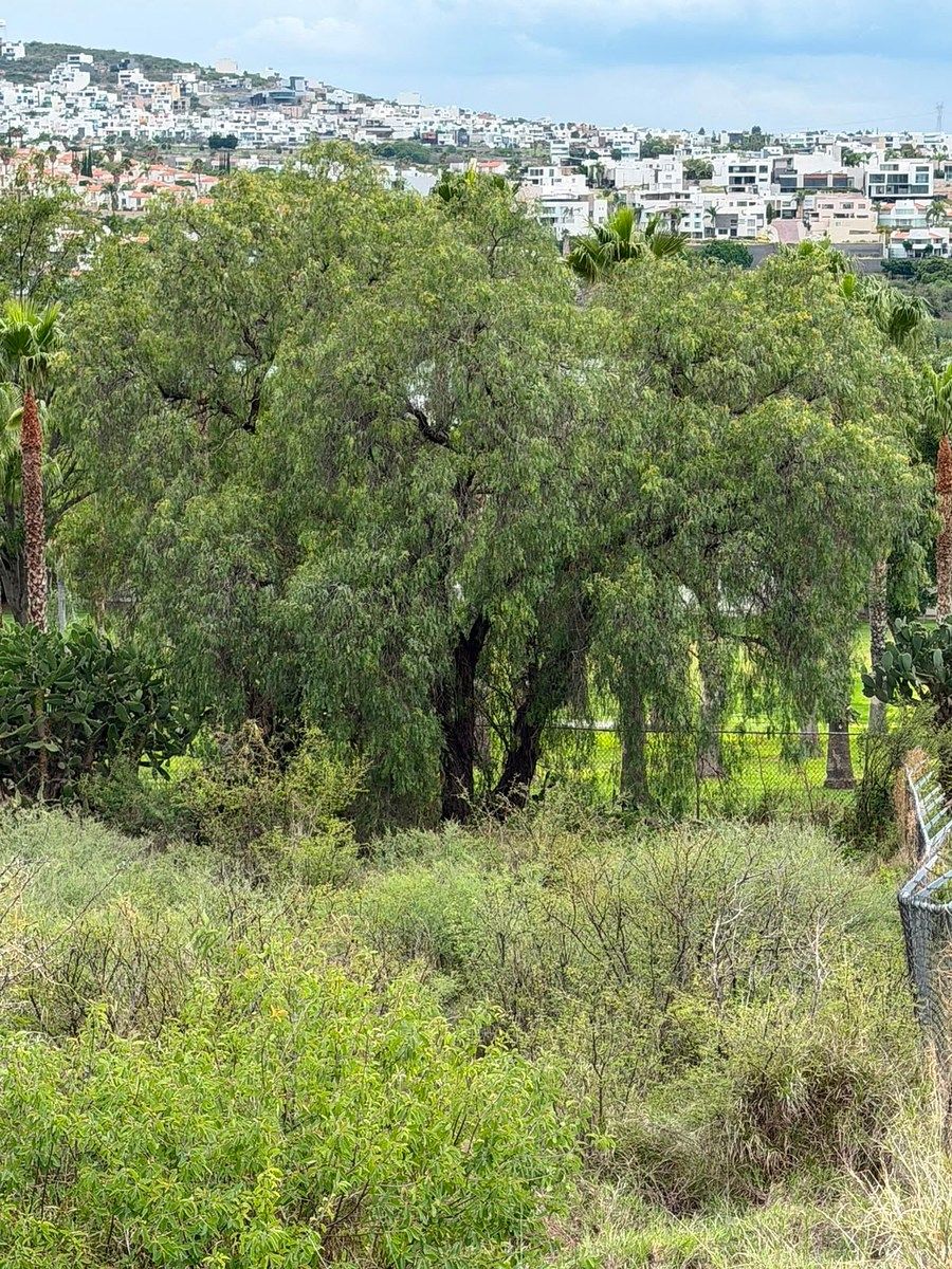 Terreno en Juriquilla, Querétaro, foto 6 de 7