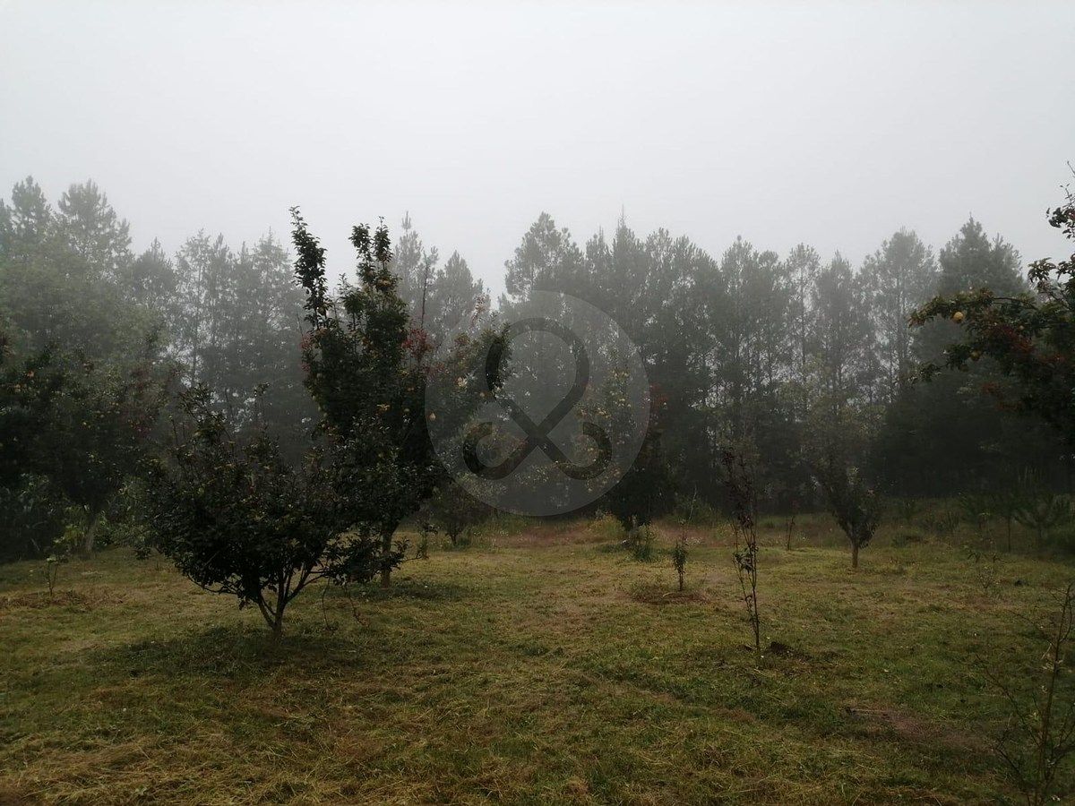 Casa en San José Ithó, Amealco de Bonfil, foto 12 de 17