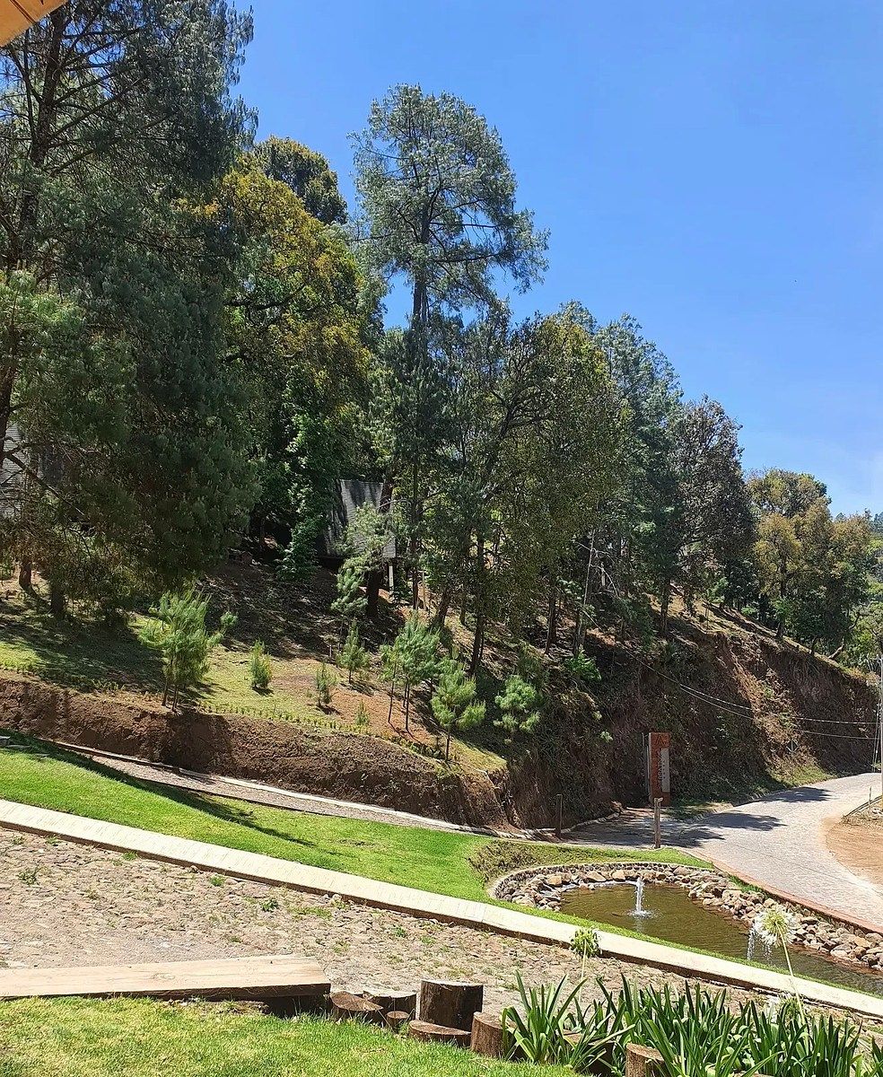 Terreno en Valle de Juárez, Valle de Juárez, foto 11 de 15