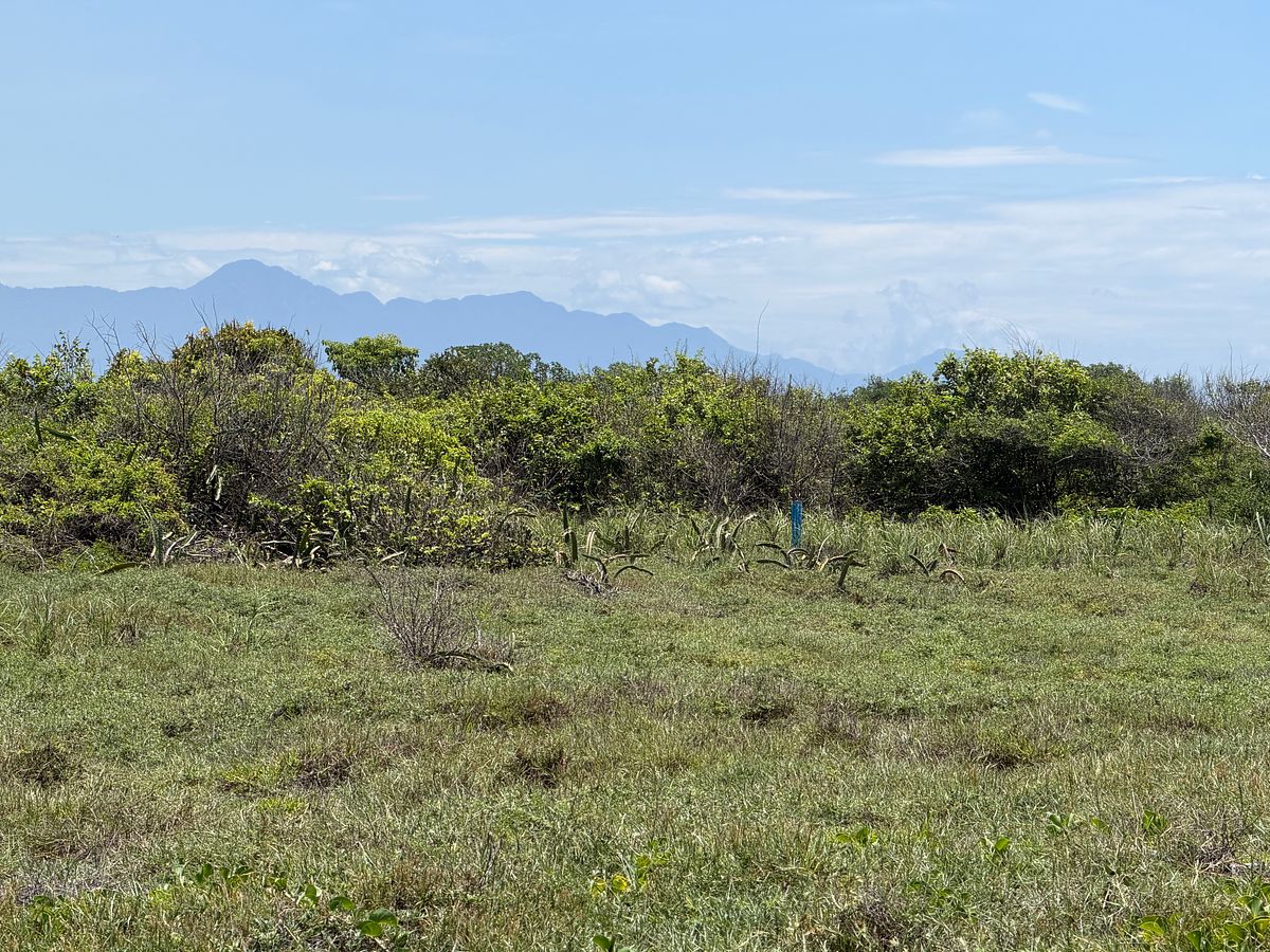 Lote em Pesquería Boca del Cielo, Tonalá, foto 9 de 10