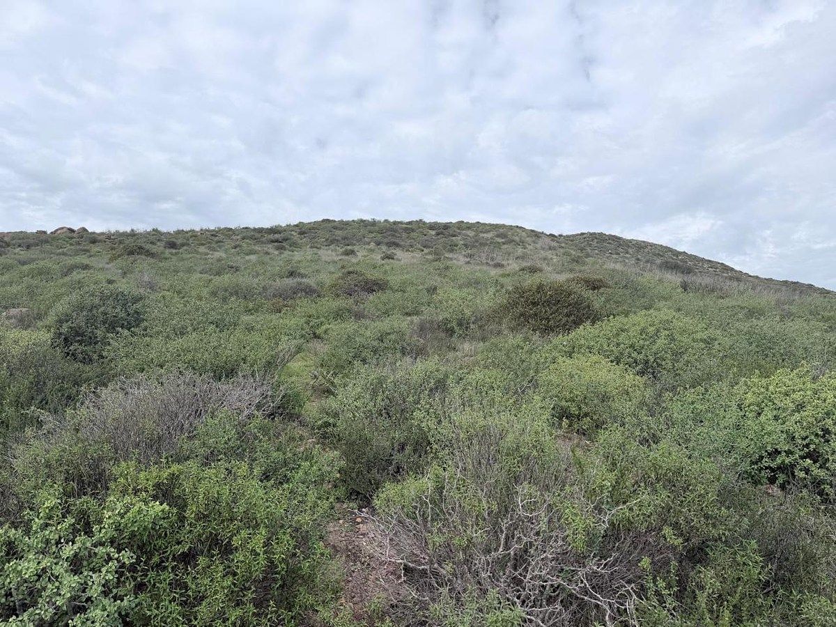 Commercial Lot in El Sauzal, Ensenada, photo 3 of 15