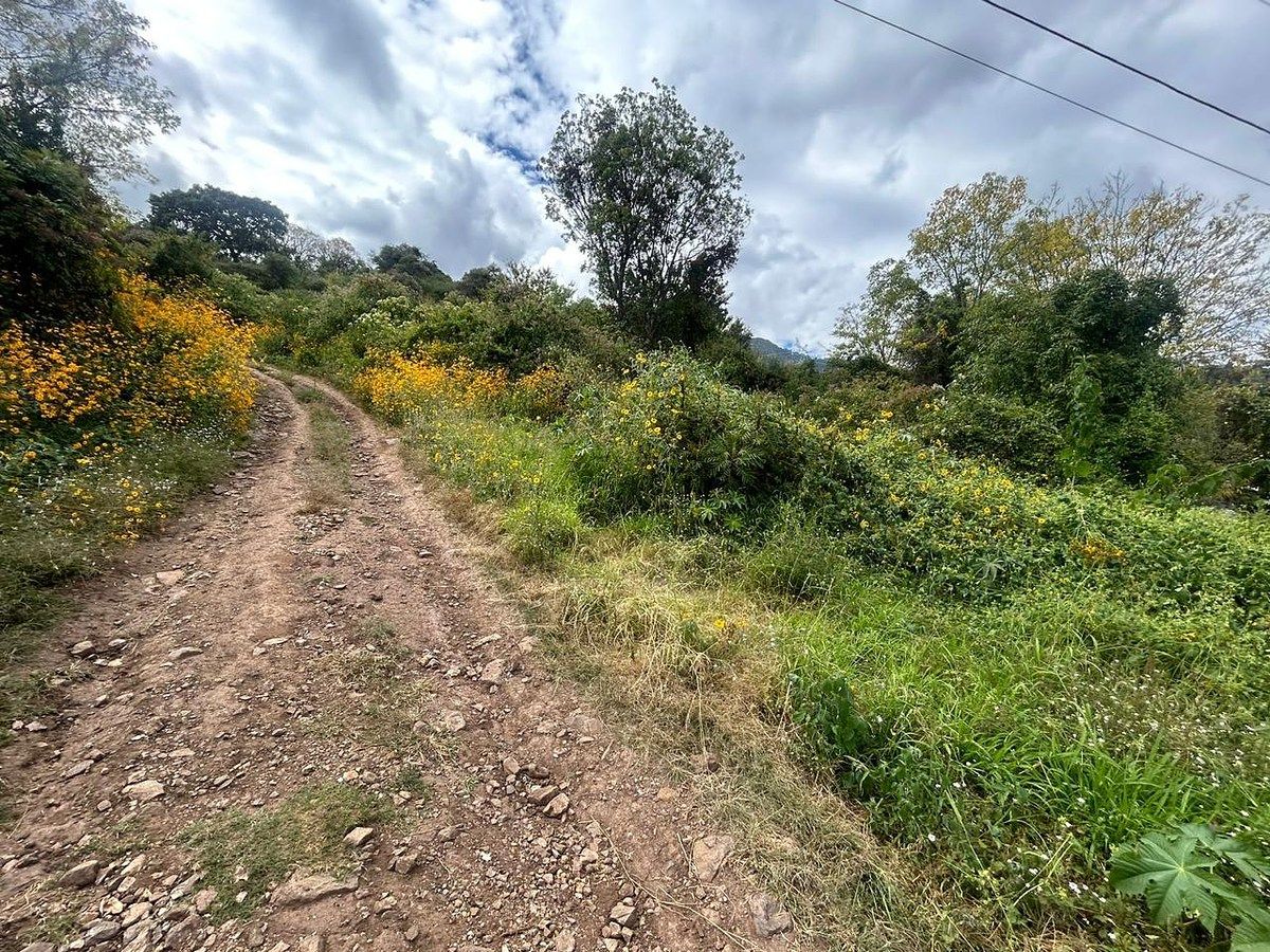 Lot in Tepec, Amacueca, photo 5 of 49