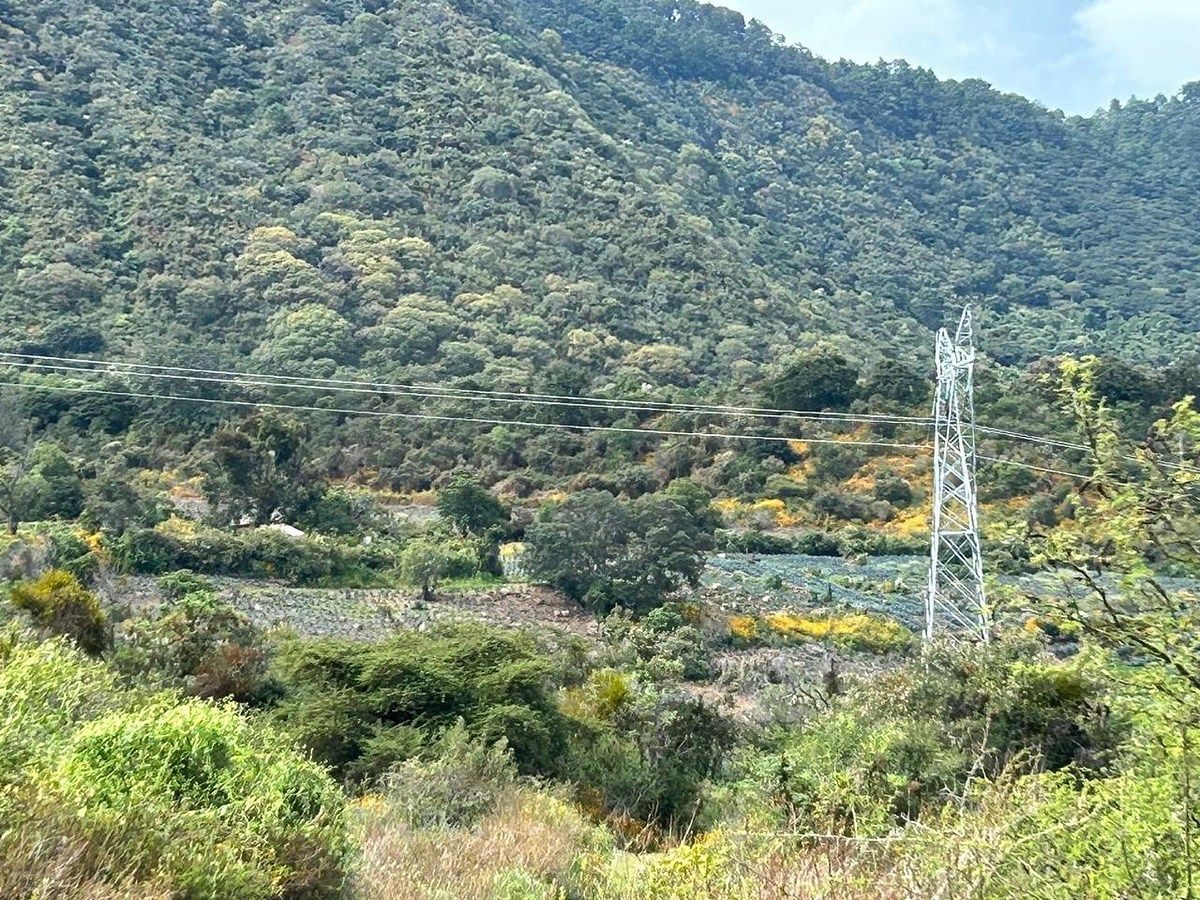 Lot in Tepec, Amacueca, photo 6 of 49