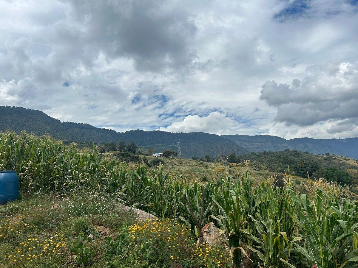 Lot in Tepec, Amacueca, photo 7 of 49