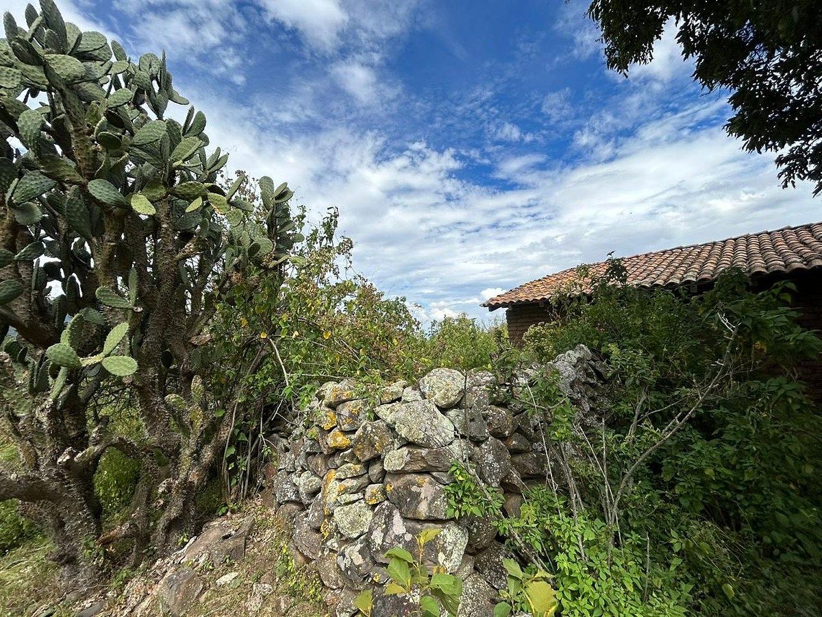 Lot in Tepec, Amacueca, photo 8 of 49