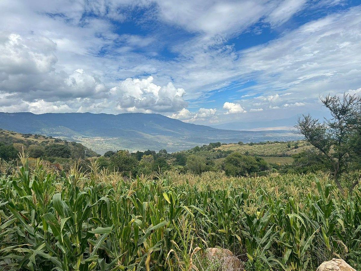 Land for Sale Tepec, Road to Tapalpa · Jalisco, photo 1 of 49