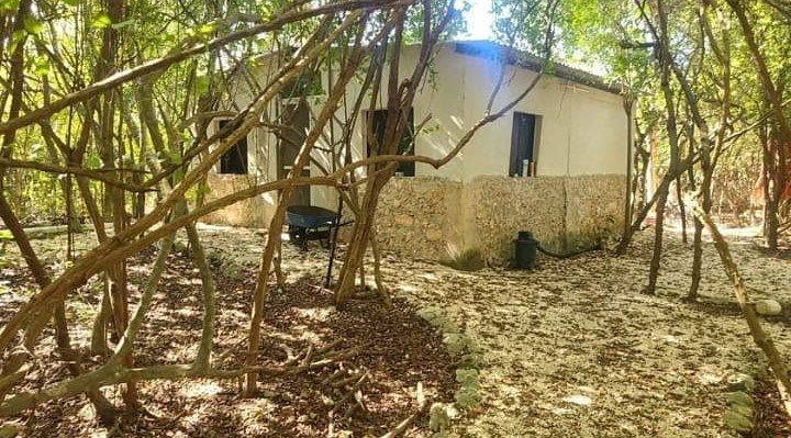 Paradise Farm, Tahzibichen, Mérida - foto 3