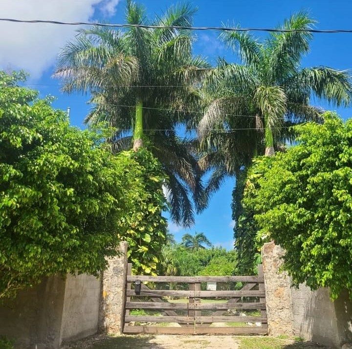Rancho en Tahdzibichén, Mérida, foto 15 de 23