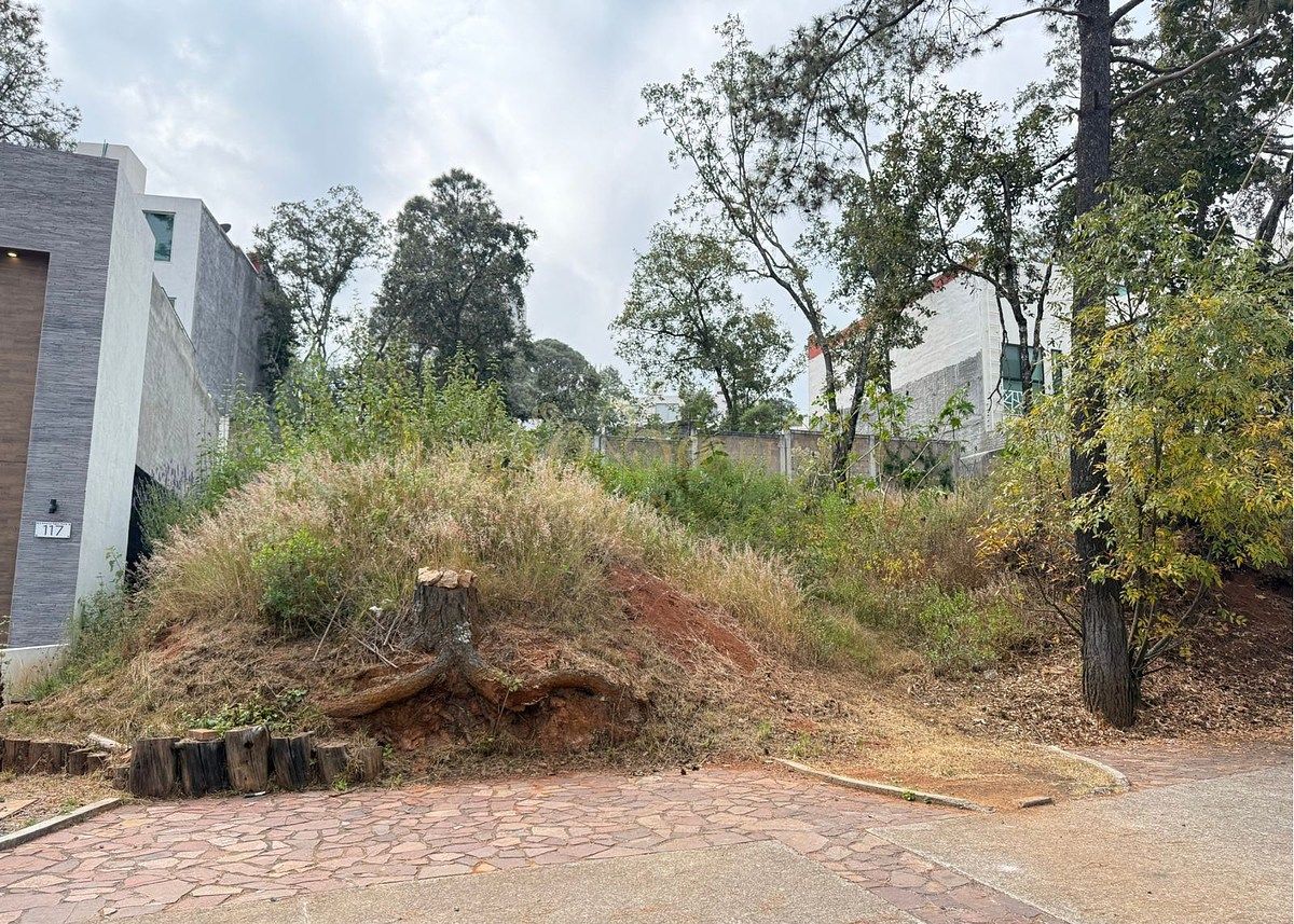Terreno en Bosque Monarca, Morelia, foto 7 de 26
