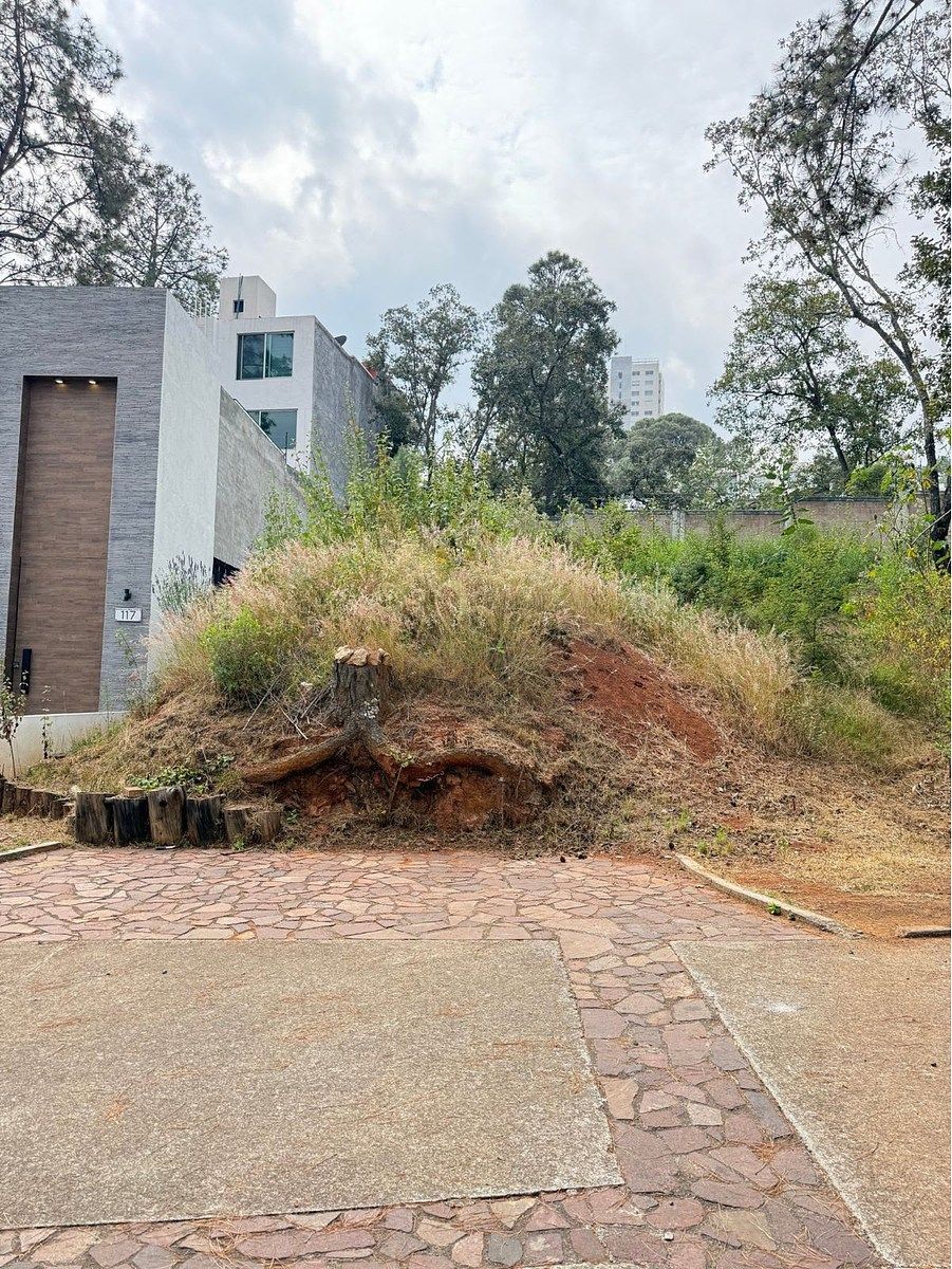 Terreno en Bosque Monarca, Morelia, foto 8 de 26