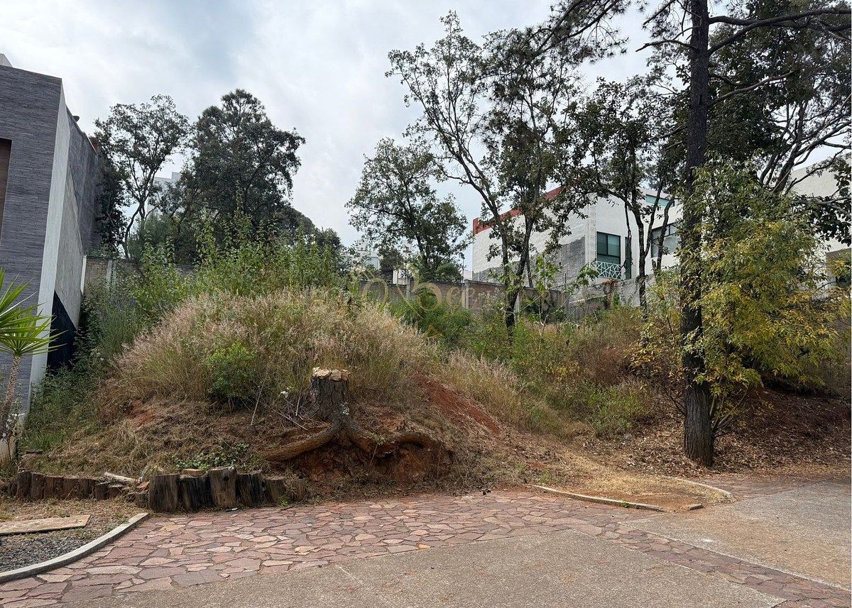 Terreno en Bosque Monarca, Morelia, foto 12 de 26