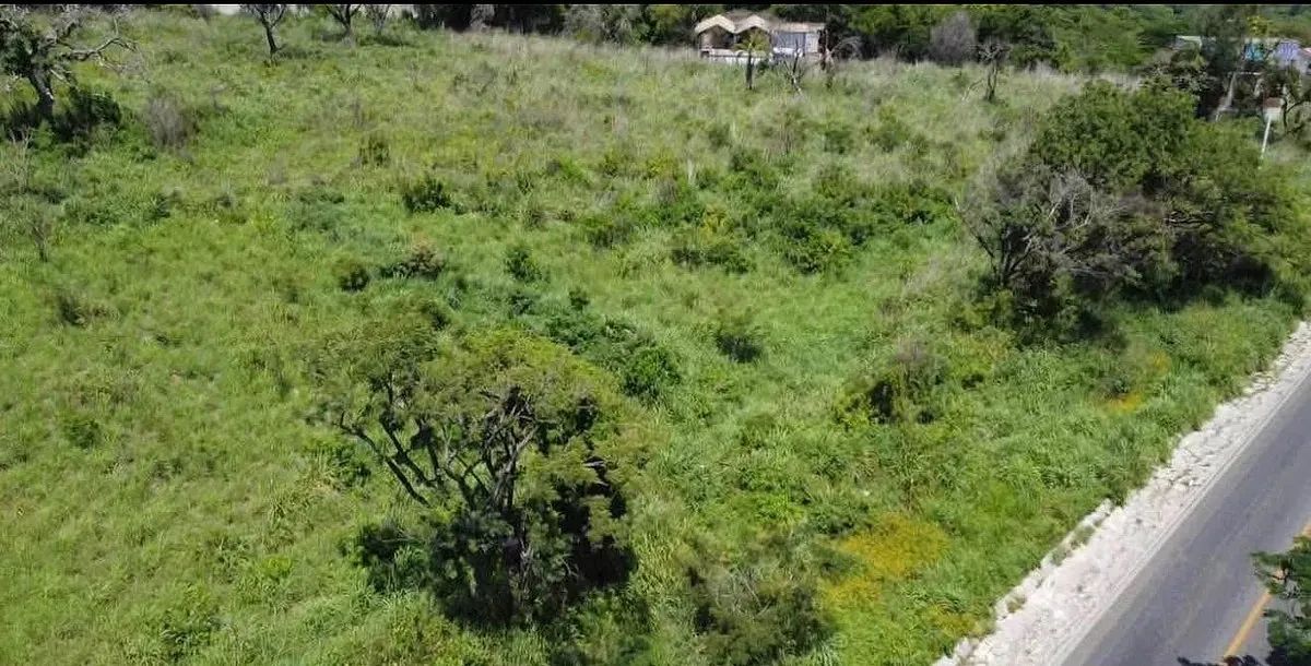 Lote em Berriozabal Centro, Berriozábal, foto 5 de 5