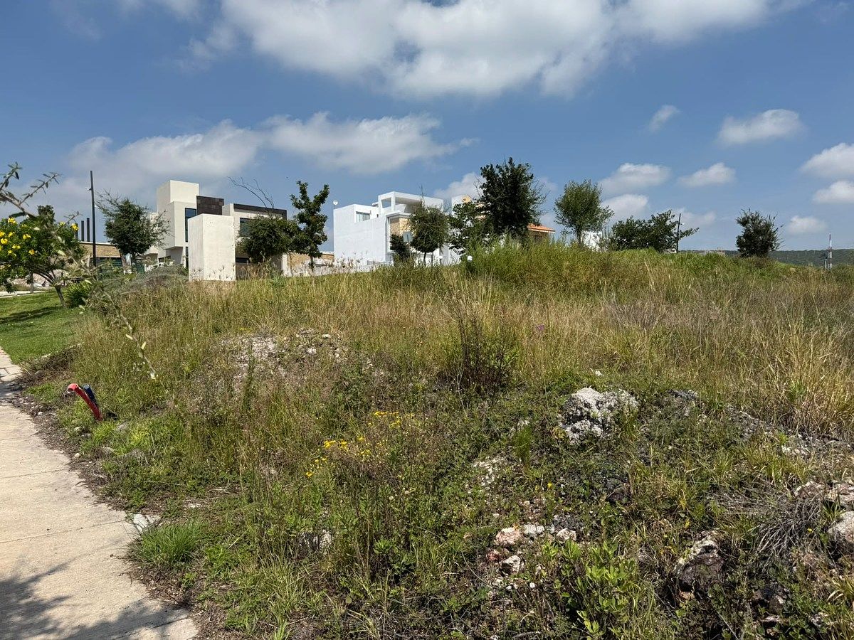 Terreno en Venta - El Mayorazgo - TE442 - foto 4