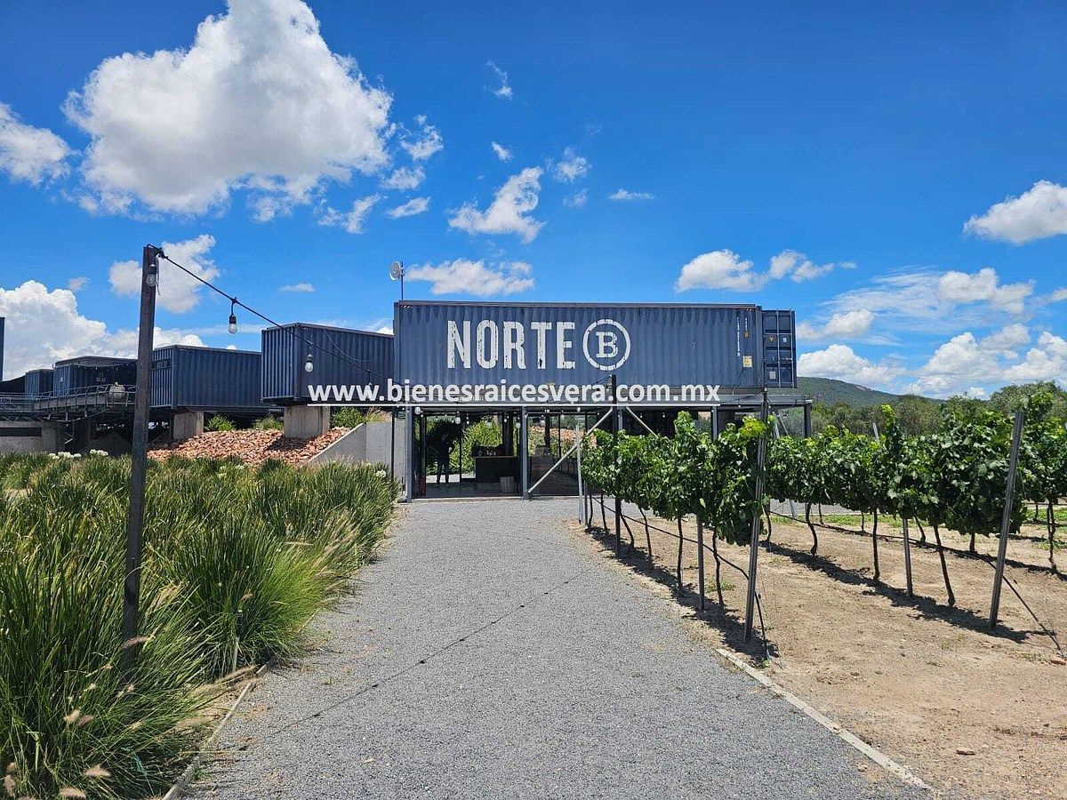 VIÑEDO EN VENTA  EN TEQUISQUIAPAN QUERETARO. Damián, foto 1 de 27