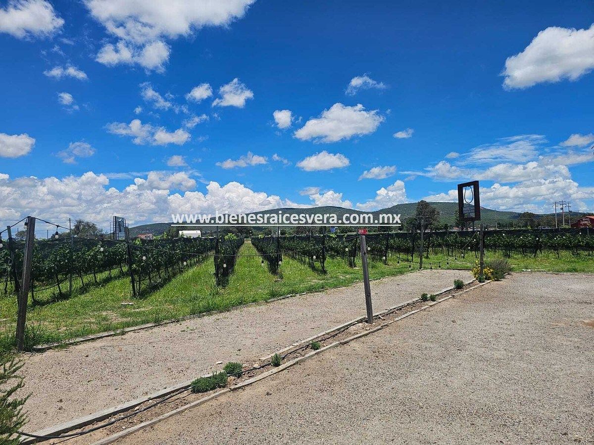 Terreno en Fuentezuelas, Tequisquiapan, foto 24 de 27