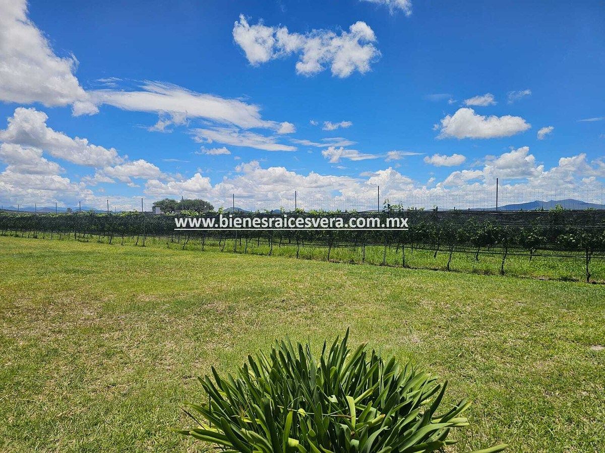 Terreno en Fuentezuelas, Tequisquiapan, foto 26 de 27