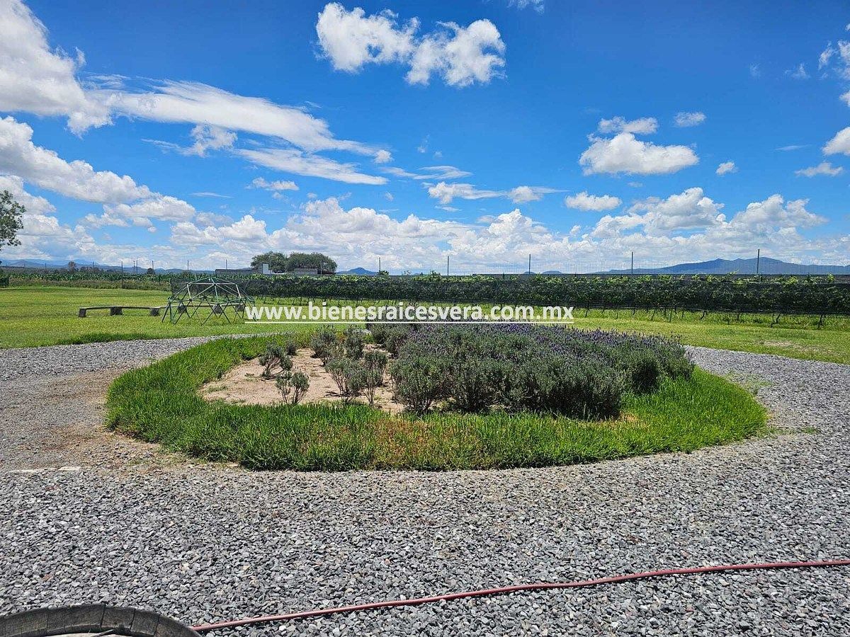 Terreno en Fuentezuelas, Tequisquiapan, foto 27 de 27