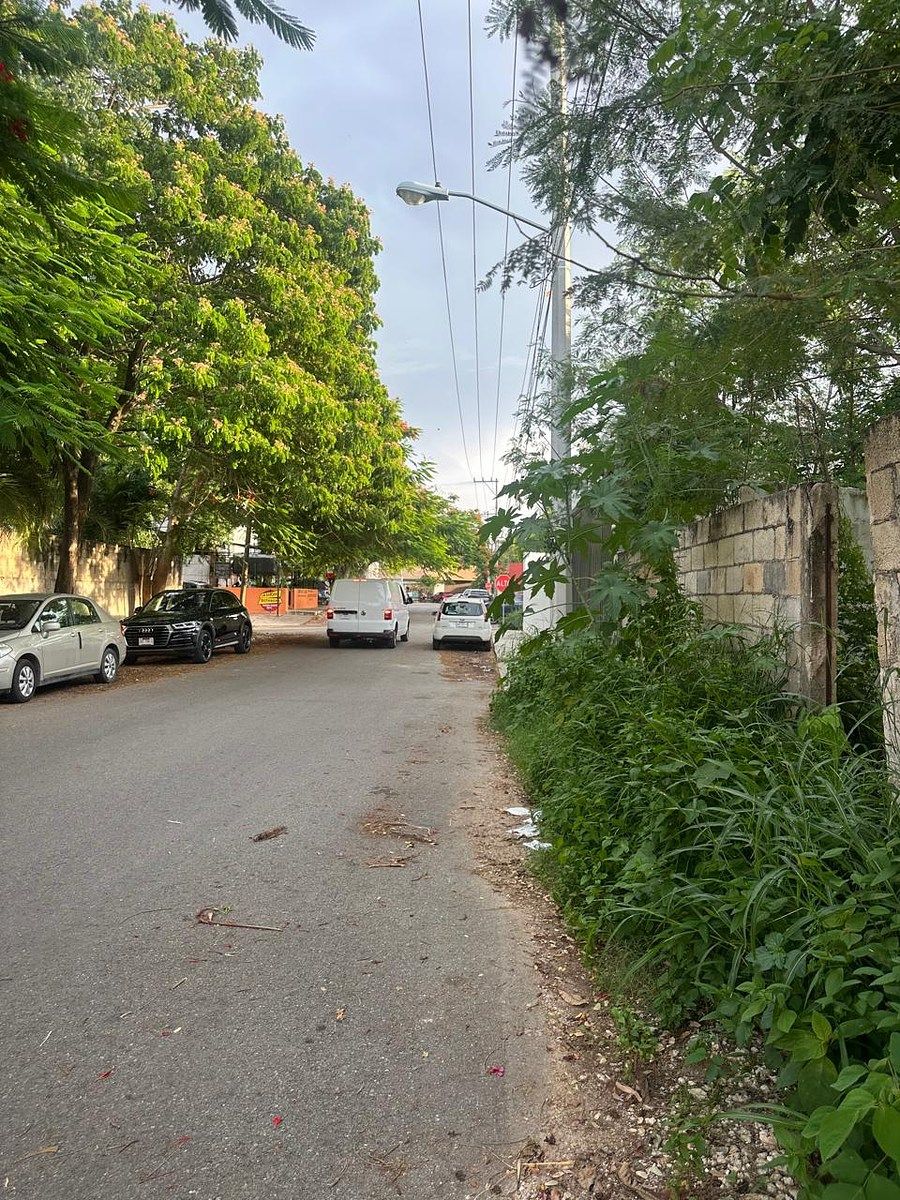 Terreno en San Ramon Norte, Mérida, foto 4 de 6