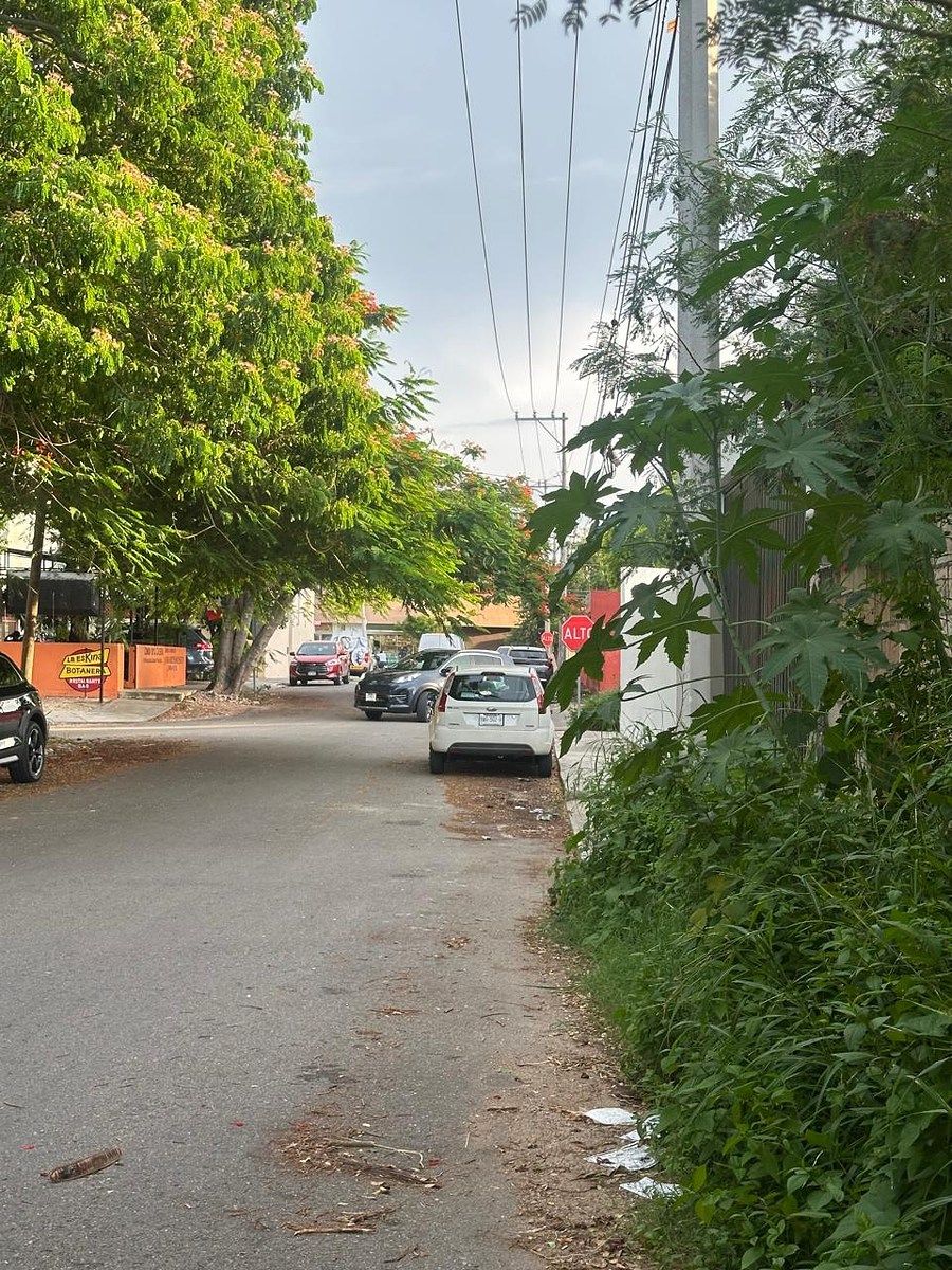 Terreno en venta en San Ramón Norte cerca de Avenida Líbano en $3´600,000.00 mdp - foto 5
