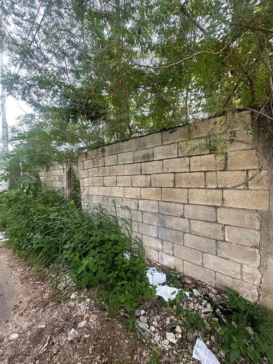 Terreno en San Ramon Norte, Mérida, foto 6 de 6