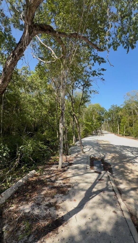 Lot in Aldea Zamá, Tulum, photo 5 of 5