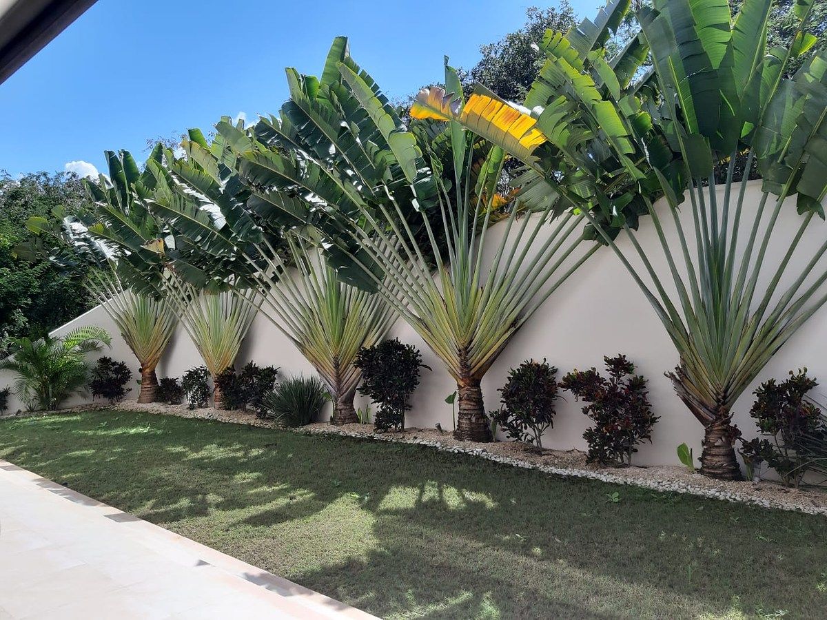 Casa en Yucatán Country Club, Mérida, foto 14 de 21