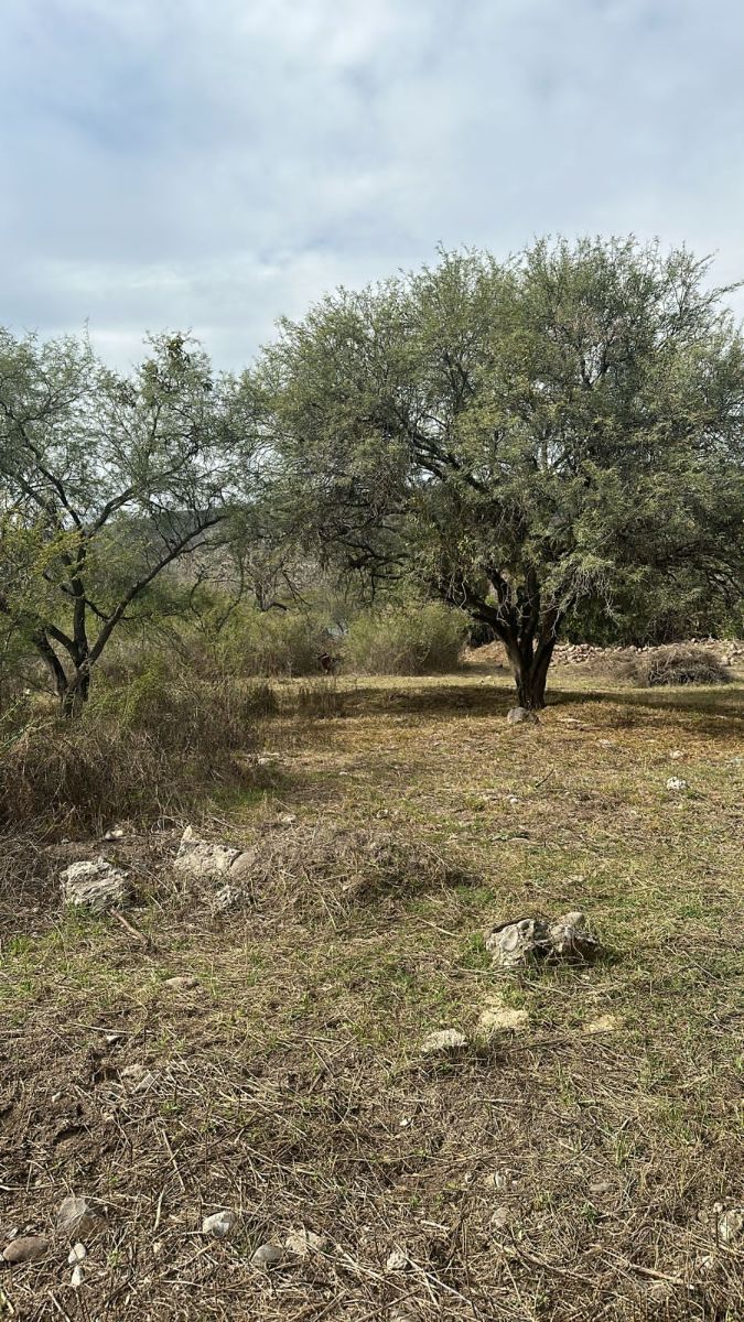 Terreno Hacienda del Lago Country club Santa Rosa Jalisco $2,454,000 - foto 5