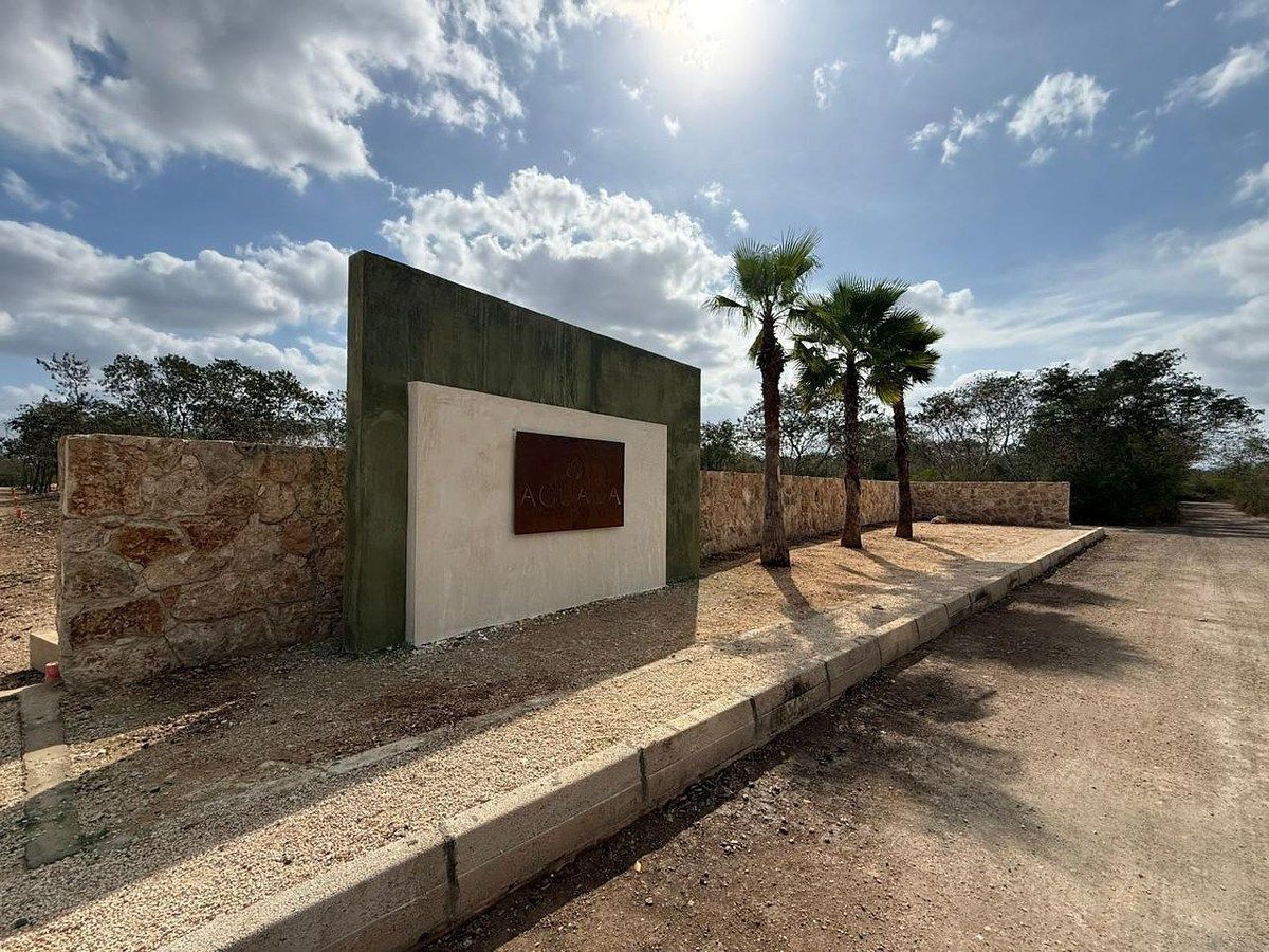Terreno en Venta en Baca, Yucatán | 1 hectárea l Plan de Fraccionamiento - foto 1