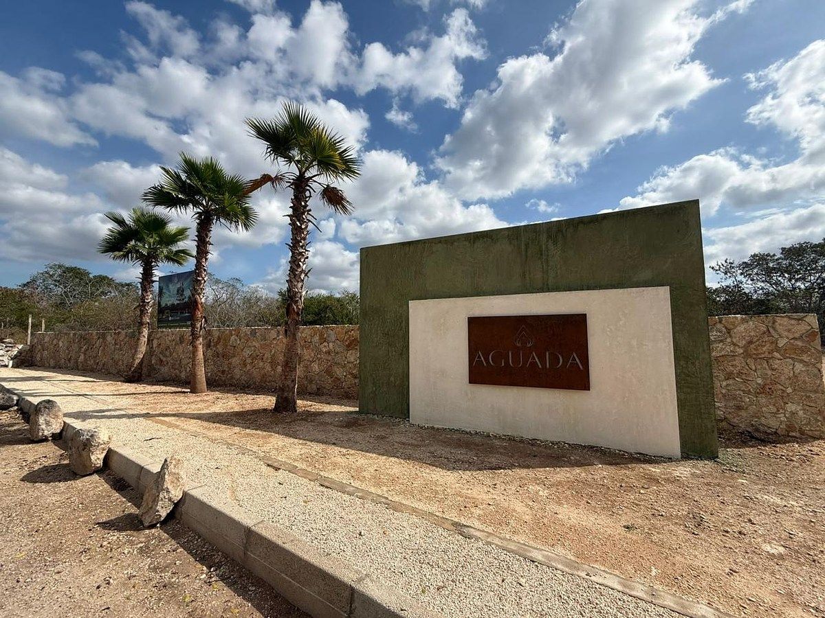 Terreno en Venta en Baca, Yucatán | 1 hectárea l Plan de Fraccionamiento - foto 2