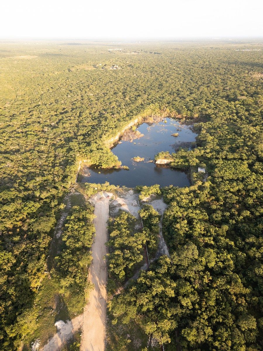 Terreno en Venta en Baca, Yucatán | 1 hectárea l Plan de Fraccionamiento - foto 4