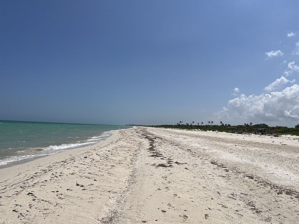 Land, 25m Beachfront, Sisal, Yucatán - foto 3