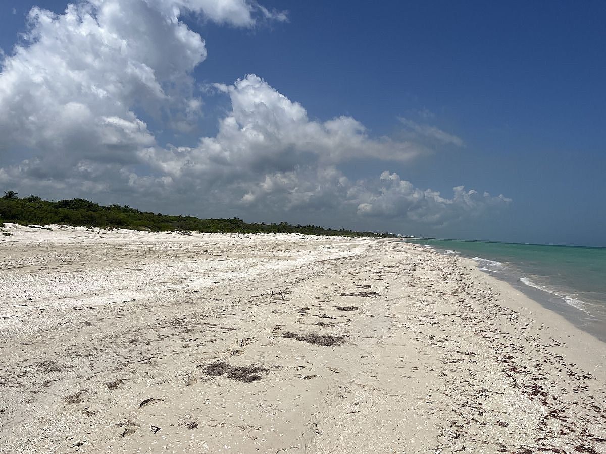Land, 25m Beachfront, Sisal, Yucatán - foto 2