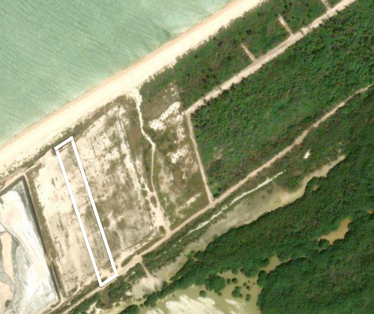 Land, 25m Beachfront, Sisal, Yucatán - foto 4
