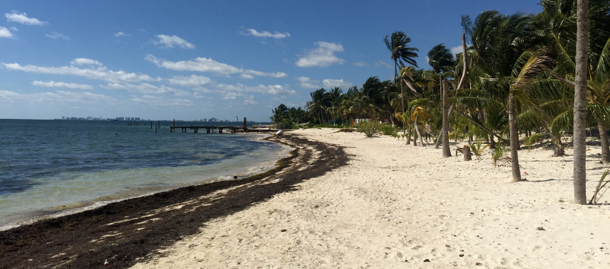 Terreno en Venta Cancún - foto 1