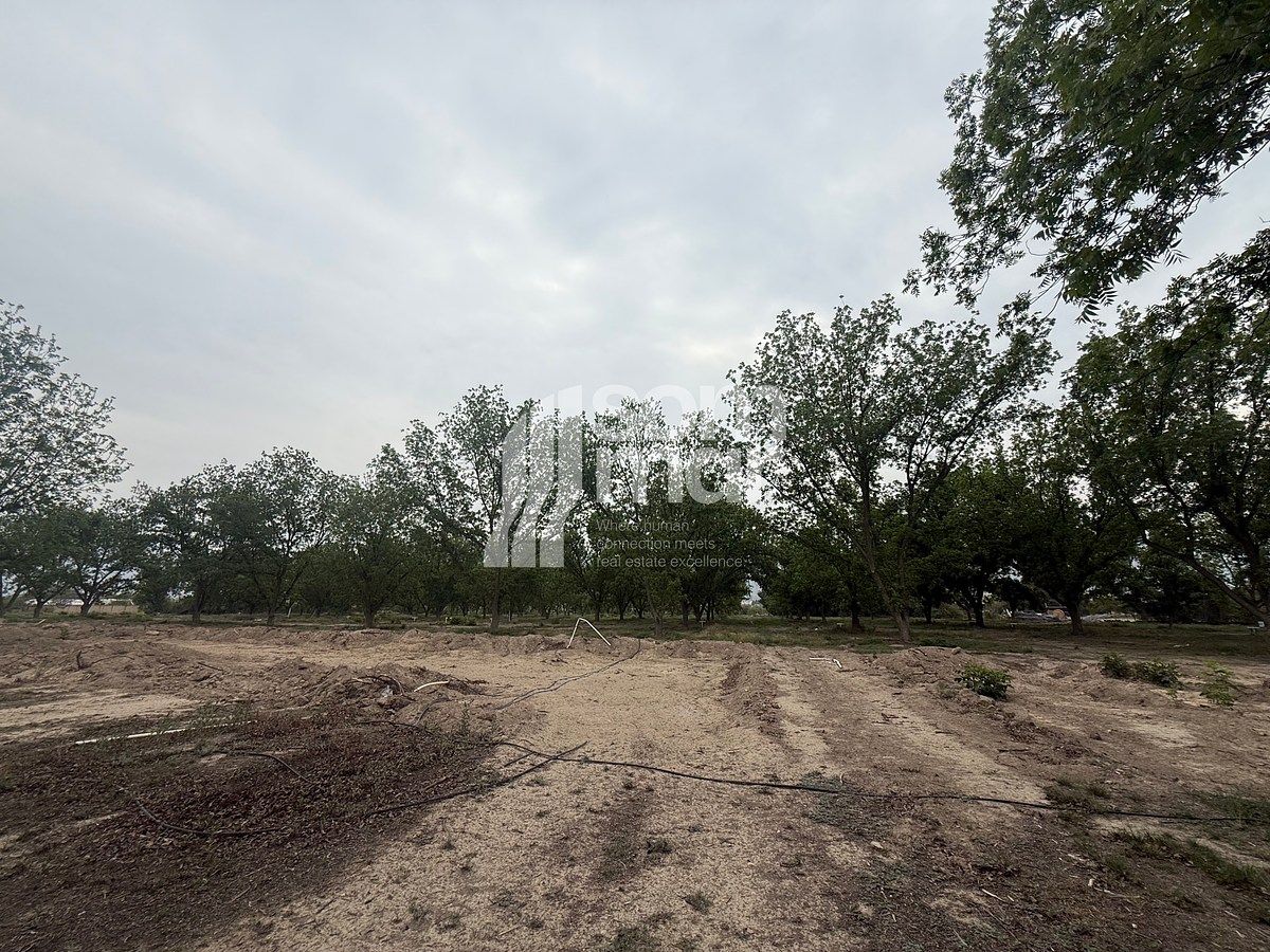 Lands in Hacienda El Milagro - foto 1