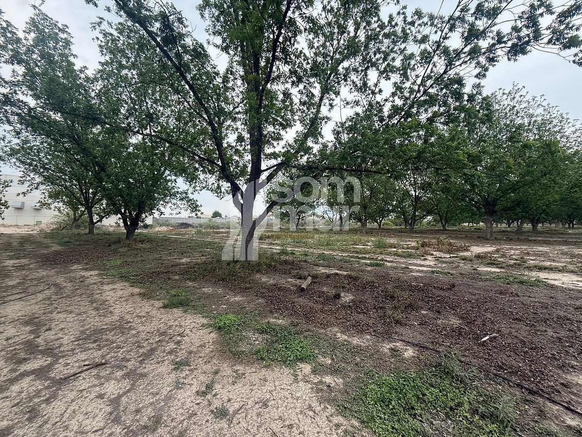 Lands in Hacienda El Milagro - foto 4