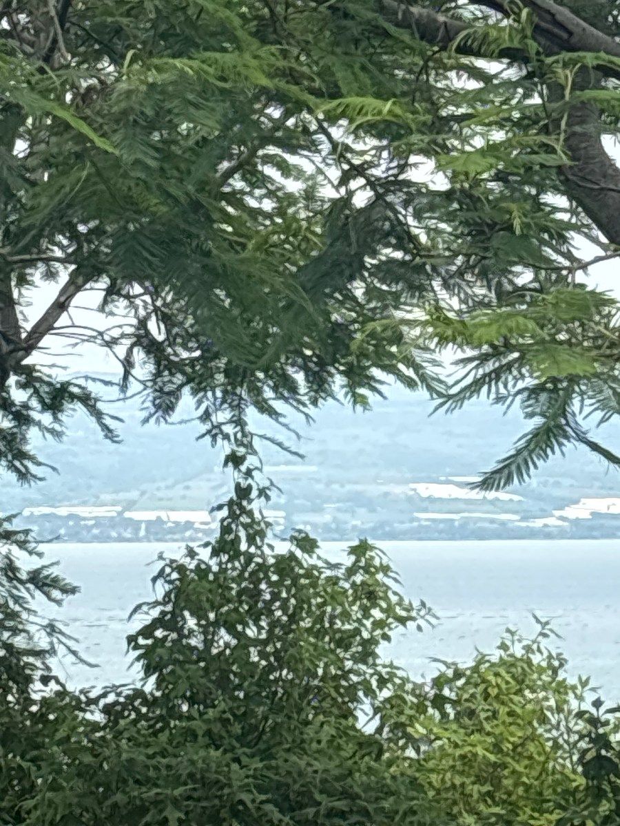 Land for sale in private Rinconada El Lim贸n - foto 2