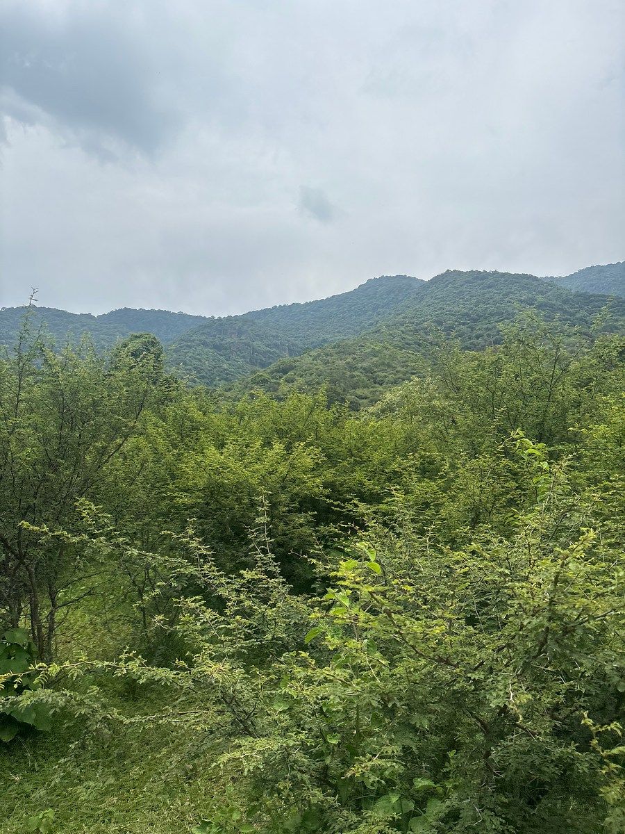Land for sale in private Rinconada El Lim贸n - foto 3
