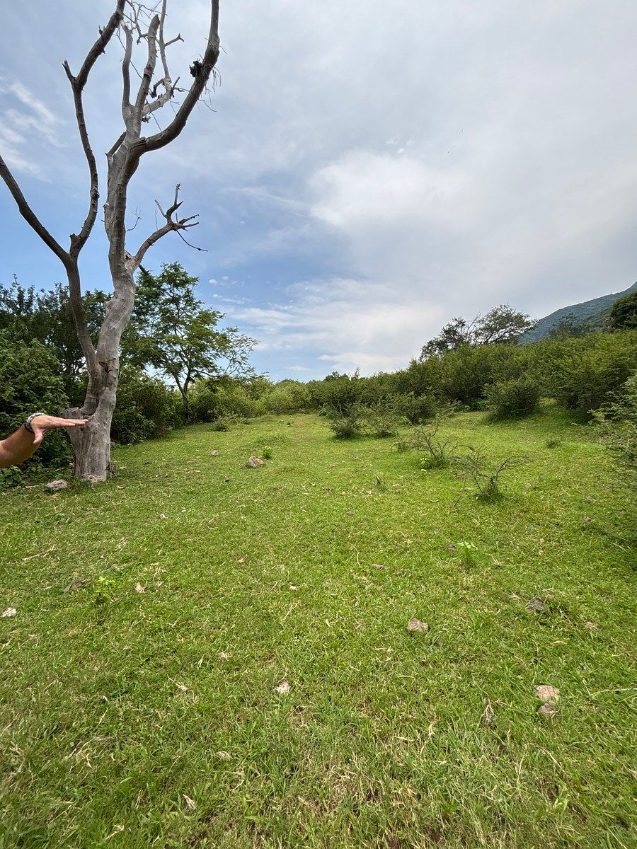 Land for sale in private Rinconada El Lim贸n - foto 4