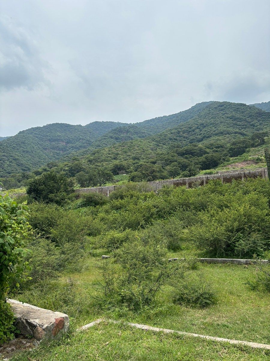 Terreno en San Juan Cosala, Jocotepec, foto 10 de 20