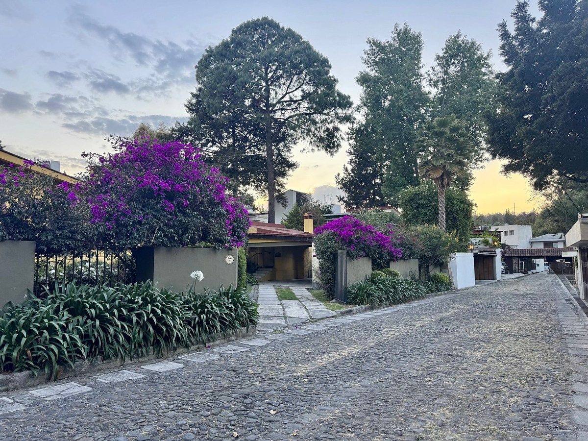 Venta Casa Con Jardín en Privada Con Vigilancia