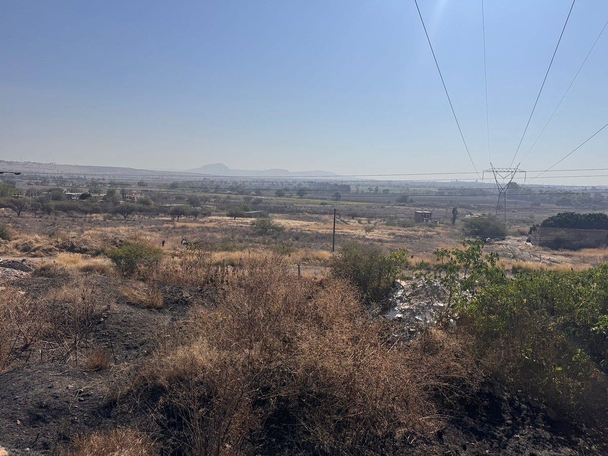 Land for Sale for investment. - foto 3